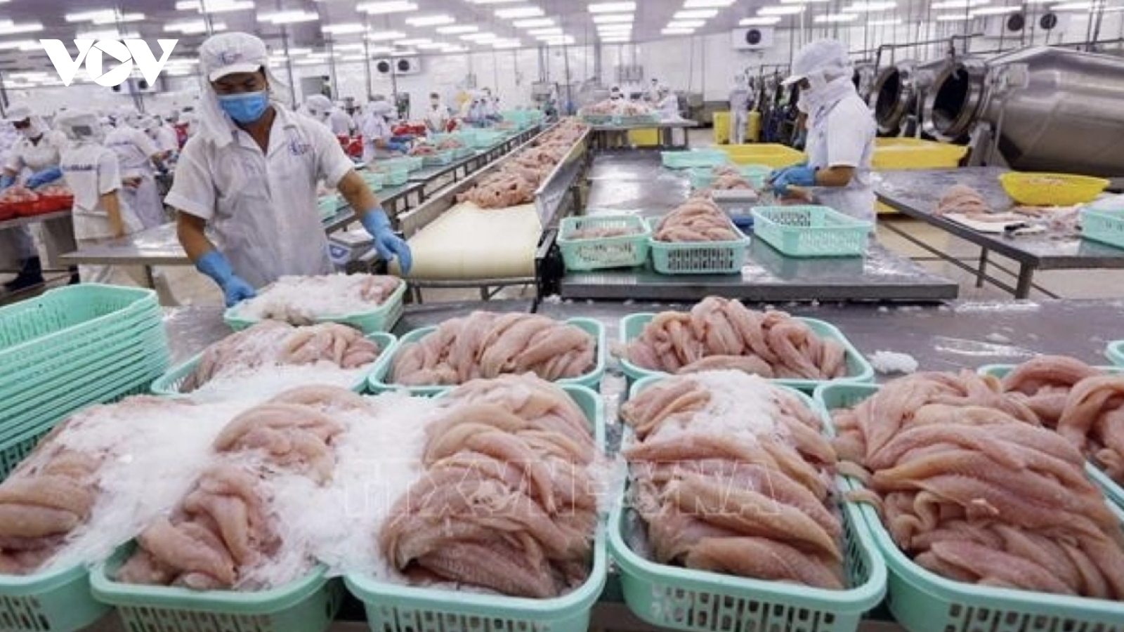 Vietnam and US reach agreement on anti-dumping case of pangasius at WTO